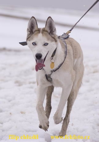 Hustopece 06 - 063.jpg